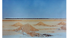 مزرعة ألبان دانة